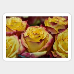 Floral arrangement with roses Sticker